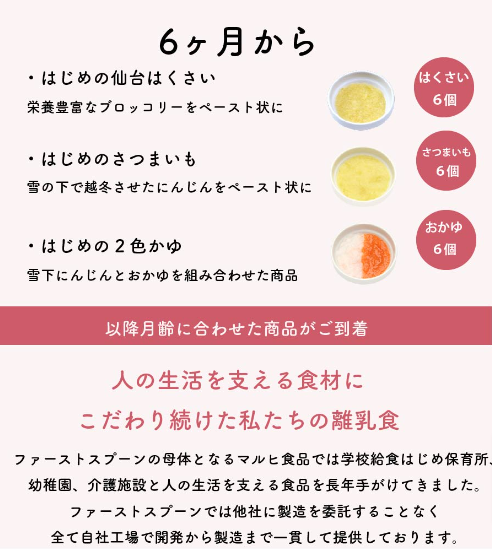 【-定期-】はじめての離乳食6ヶ月コース-離乳食・幼児食の宅配ならファーストスプーン4